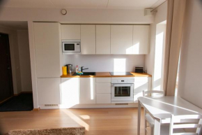 Modern & luxurious 1BR guest apartment near Talllinn Airport, Tallinn